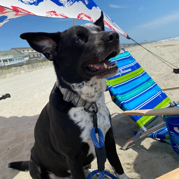 Meet your Posher, Erica - Picture 1 of 1